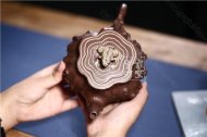《蛙鳴樹(shù)樁》