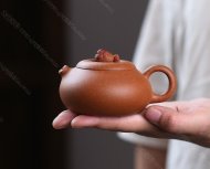 金魚