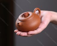 金魚