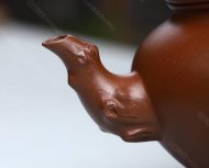 報(bào)春套組