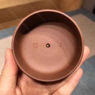 雅竹提梁