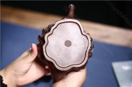 《蛙鳴樹(shù)樁》